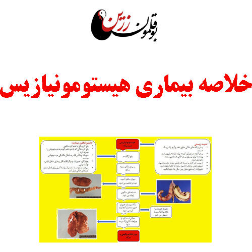 خلاصه بیماری هیستومونیازیس