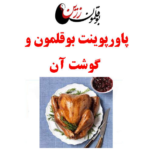 پاورپوینت بوقلمون و گوشت آن