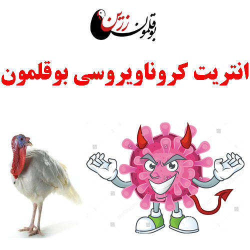 انتریت کروناویروسی بوقلمون