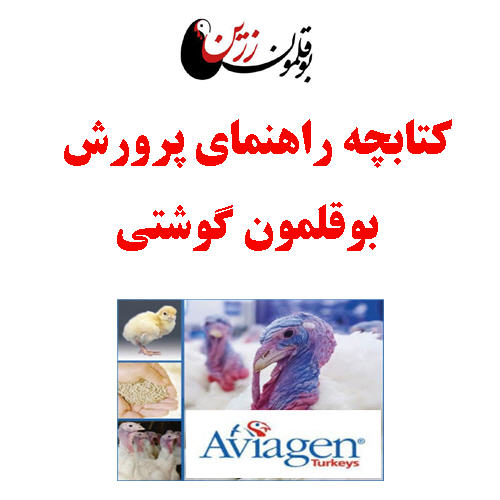 کتابچه باارزش راهنمای پرورش بوقلمون گوشتی
